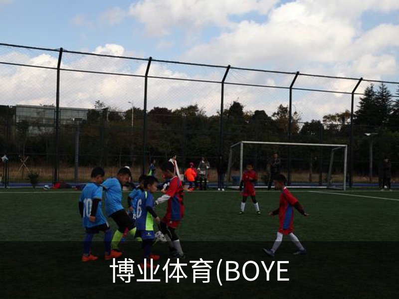 了解博业体育(BOYE
